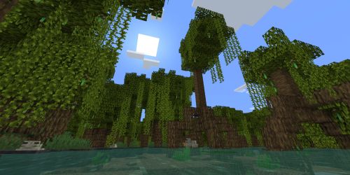 Mangrove_Biome_2.jpg