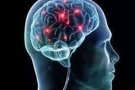When do we reach our peak brain power?