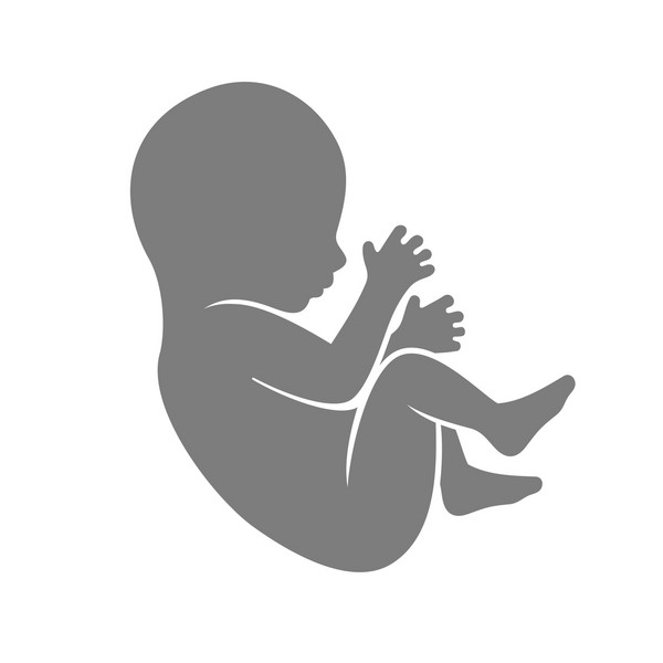 What Can Fetuses See Before Birth?