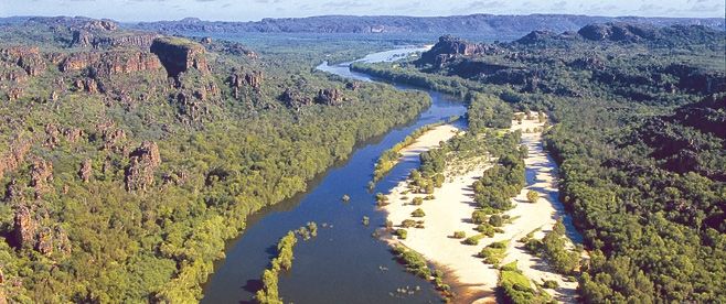 Lost humpback whale abandoned by friends in croc-infested river in Australia
