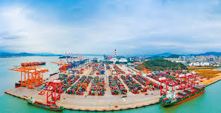 Dubai Economy Records 132% Increase in DED Trader Licenses